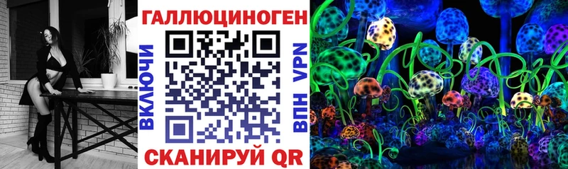 купить наркотики цена Ковылкино мега онион Псилоцибиновые грибы Magic Shrooms